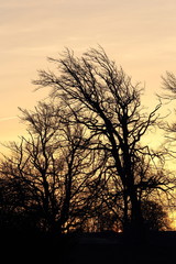 atardecer en invierno