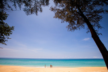 palm and a white sand beach.
