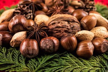 Close up of mixed nuts with spices and pine cones