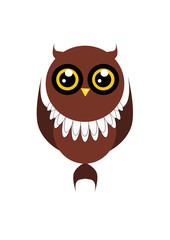 owl