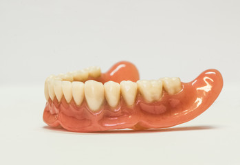 Dental dentures isolated on white