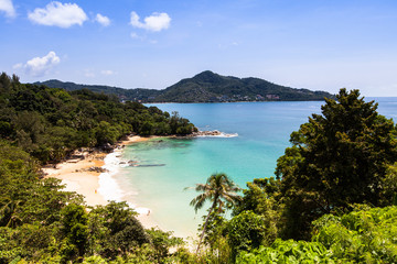 Obraz premium palm and a white sand beach.