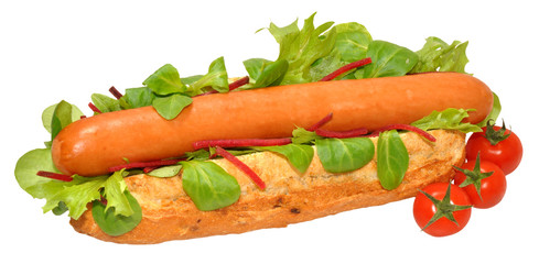 A Single Hot Dog
