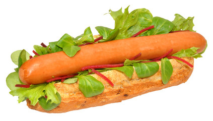 A Single Hot Dog