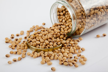 Soybean in a jar with lid off