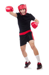 Funny boxer isolated on the white