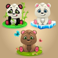 Cartoon Three Bears