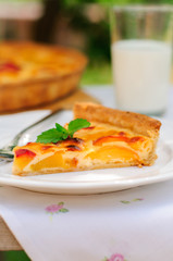 A Slice of Peach Custard Pie