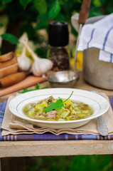 A Plate of Sorrel Soup