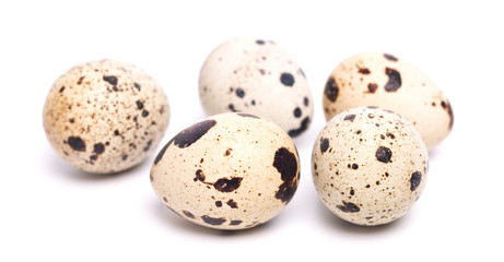 Fototapeta na wymiar few quail eggs