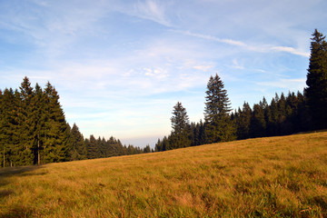 freies Feld