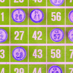 Green bingo card isolated