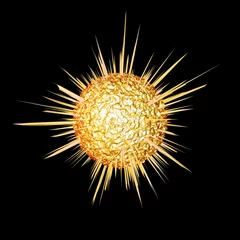 Fotobehang Stralende zon - ster © emieldelange