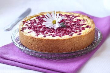 Pie with cottage cheese and redcurrant