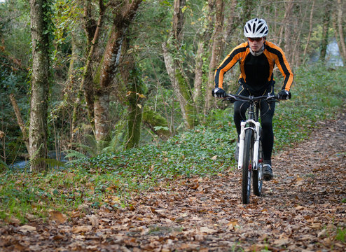 Cyclist on a mountain bike riding in the forest
