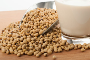 Soy milk in glass with soybeans and  transfer scoop