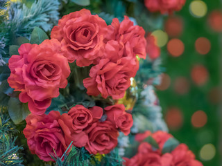 Christmas tree and rose night background