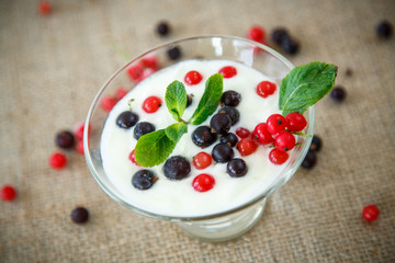 homemade yogurt