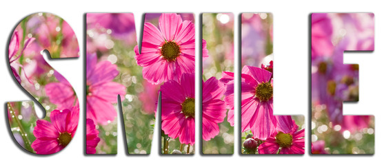 Smile text filled with pink flowers