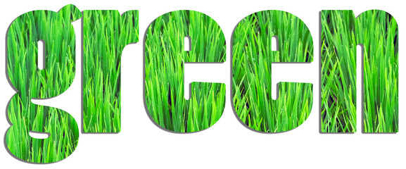 Green text filled with rice field