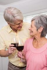 Senior couple drinking red wine