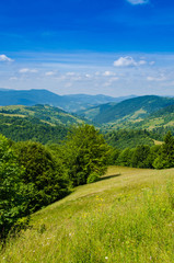 Fototapeta premium the green mountains