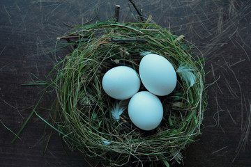 Eco eggs from hen in the nest of hay and grass