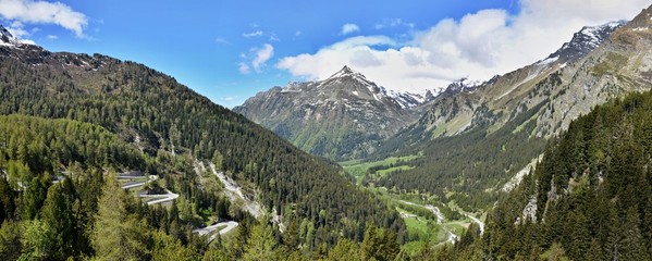 Fototapeta na wymiar Swiss Alps-panoramic view from Malojapass