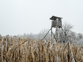 Deer blind