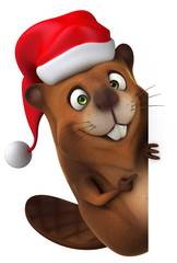 Fun beaver © Julien Tromeur