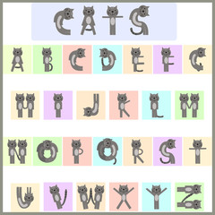 cat alphabet