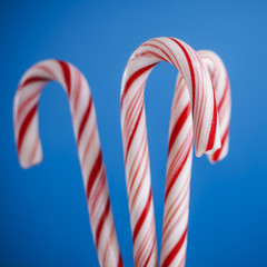 White and red peppermint candy canes in bucket