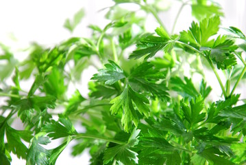 fresh parsley