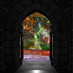 Old arched church doors opening onto colorful forest - 74383615