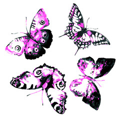 butterflies design
