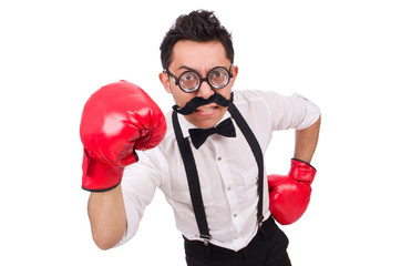 Funny boxer isolated on the white background