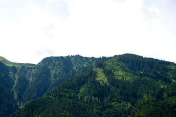 Ahorn - Zillertal - Alpen