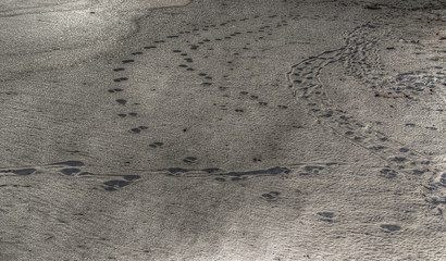footsteps in hdr