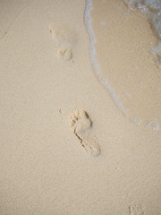 Footprints on the beach