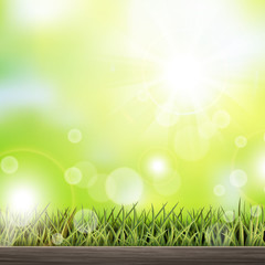 close-up look at natural grass background