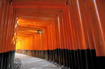 Fototapeta premium Fushimi Inari Taisha Shrine in Kyoto, Japan