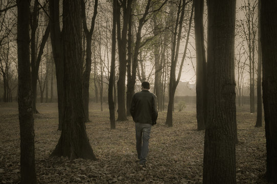 Lonely sad man walking with his back to the camera into woods