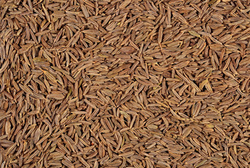 Cumin seeds background