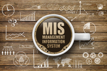 MIS Management Information System © Coloures-Pic