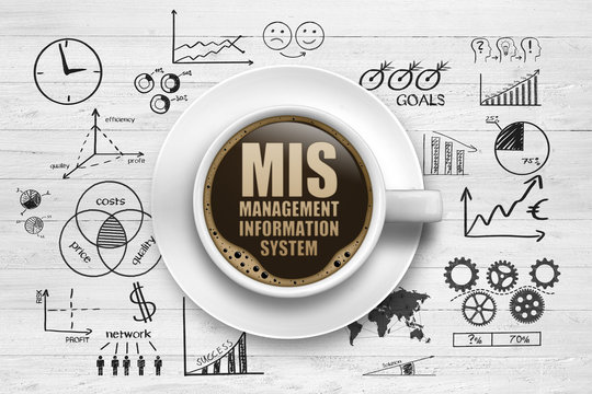 MIS Management Information System