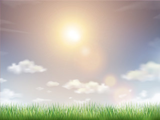Fototapeta premium blue sky and field of green grass