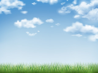 Plakat blue sky and field of green grass