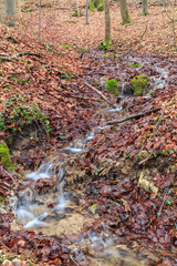 Winter Forrest Creek