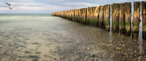 Beach with line of Groynes as background