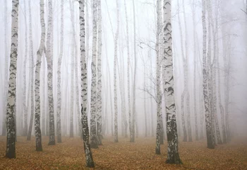 Zelfklevend Fotobehang Deeply mist in the autumn birch forest © Elena Kovaleva